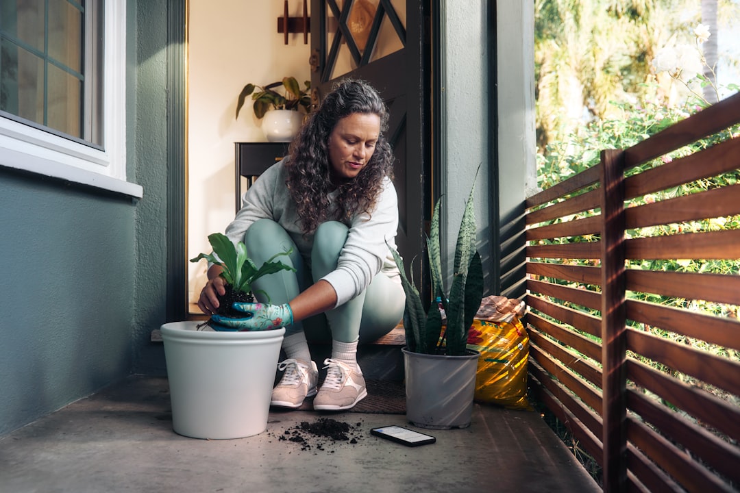 woman-planting-a-small-houseplant-in-a-pot-mjly1fuvx-w